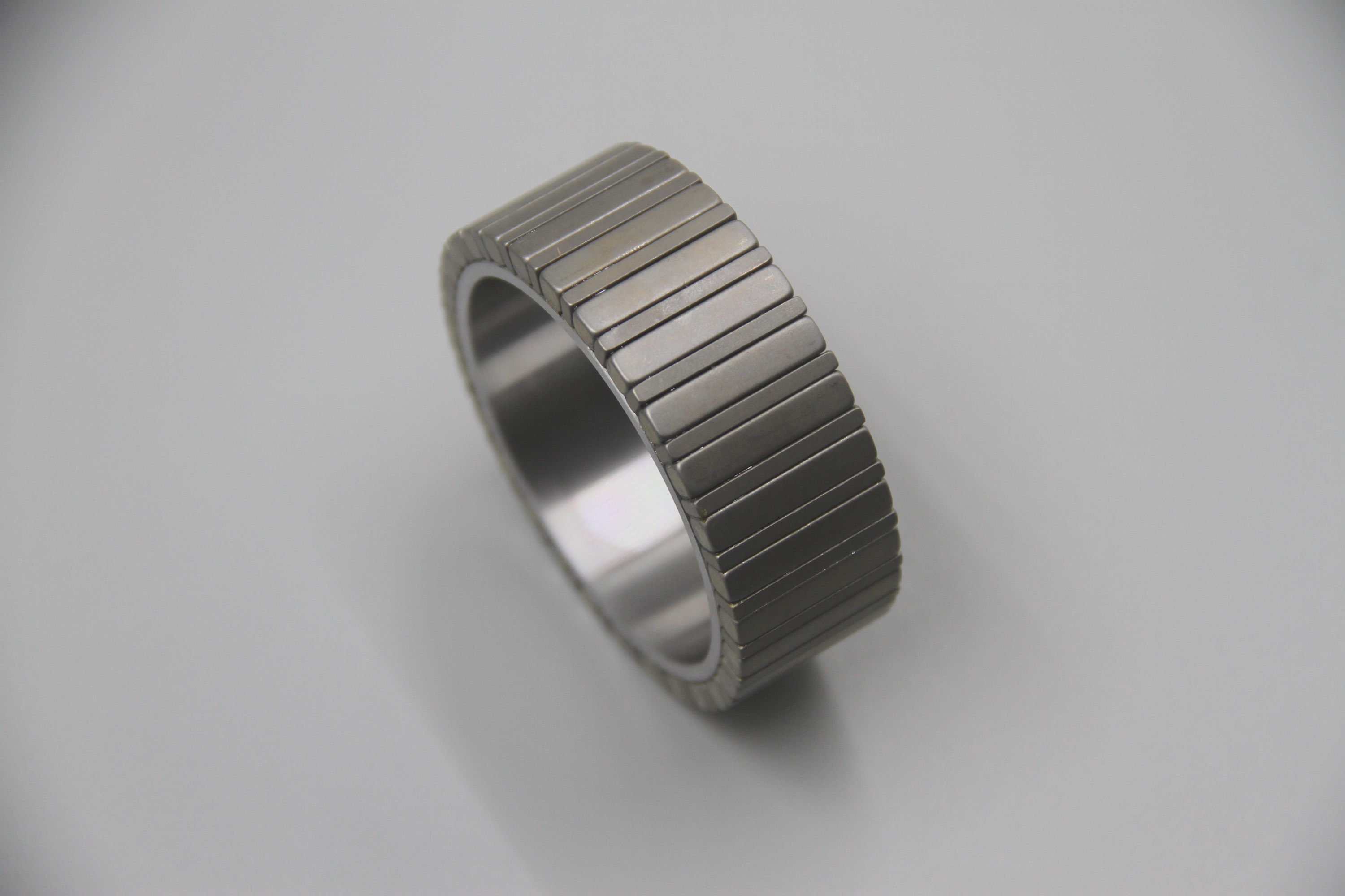 Halbach Simulator motor rotor