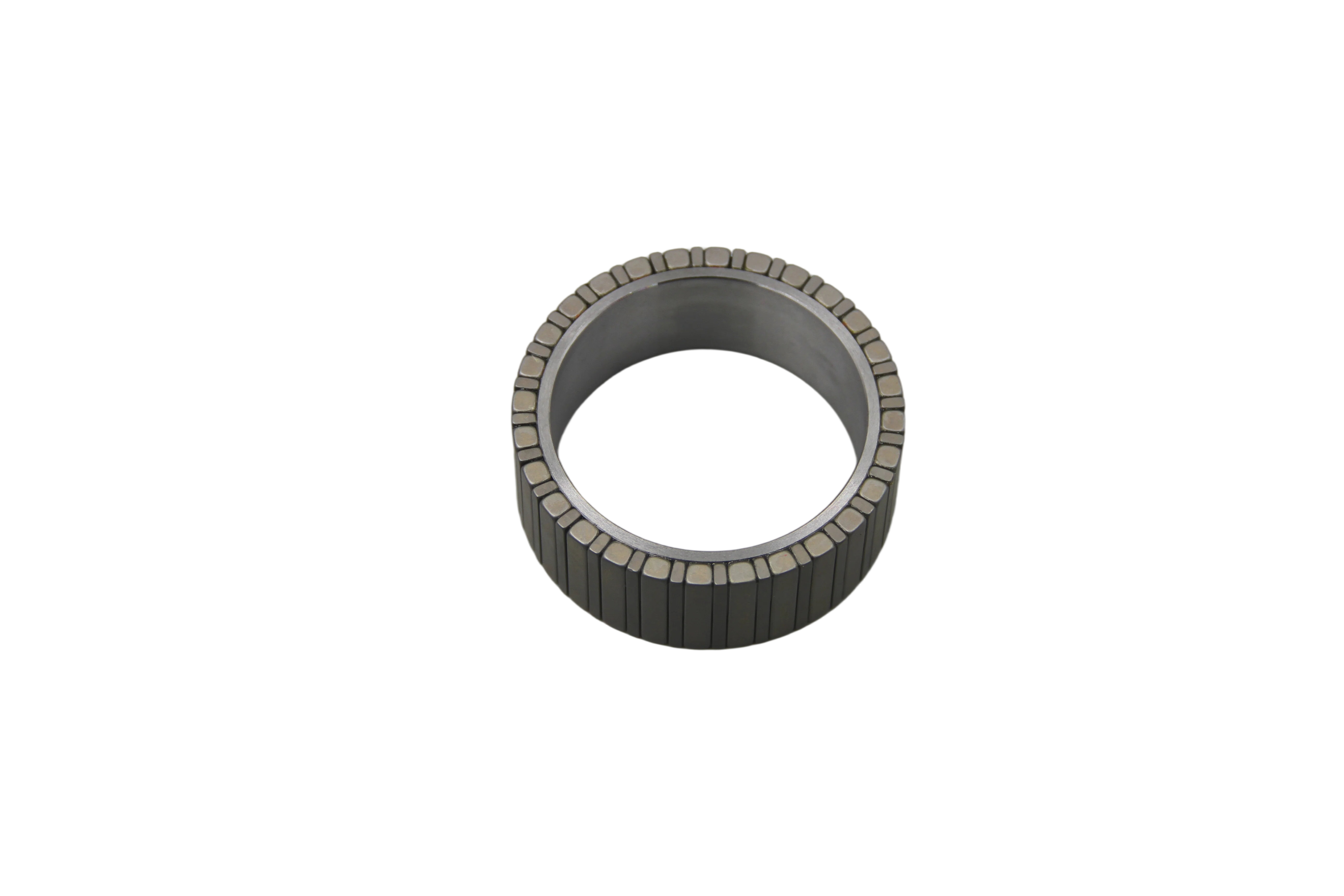 Halbach Simulator motor rotor
